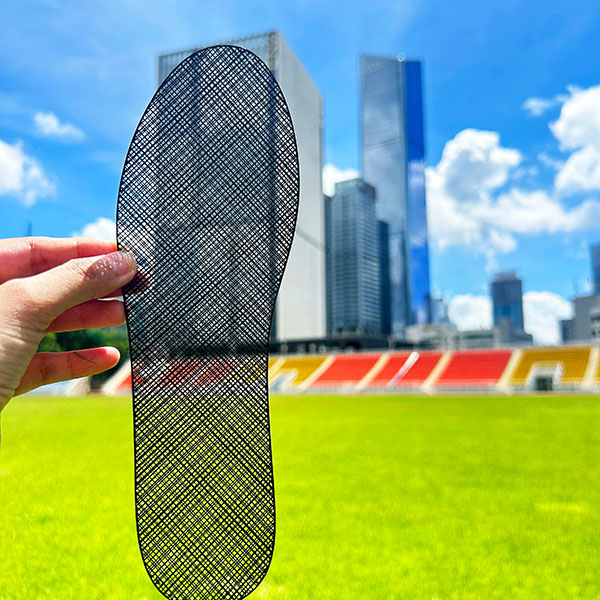 薄片鞋垫